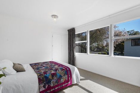 Photo of property in 3 Sheffield Street, Matamata, 3400