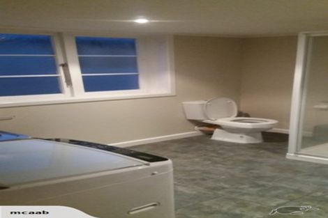 Photo of property in 20 Te Aroha Street, Hamilton East, Hamilton, 3216