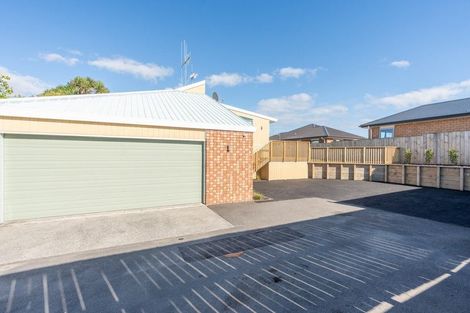 Photo of property in 167b Clarkin Road, Fairfield, Hamilton, 3214