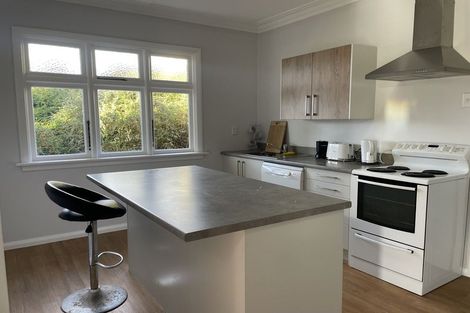 Photo of property in 521 South Road, Calton Hill, Dunedin, 9012