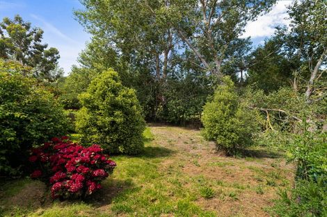 Photo of property in 64 Ronaldsay Street, Palmerston, 9430