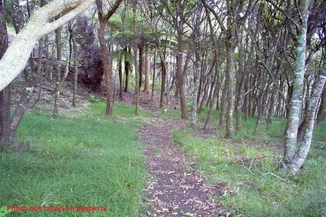 Photo of property in 86 Summer Road, Tinopai, Matakohe, 0593