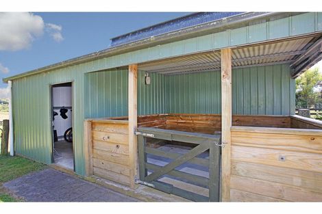 Photo of property in 41 Jack Paterson Road, Opaheke, Papakura, 2584