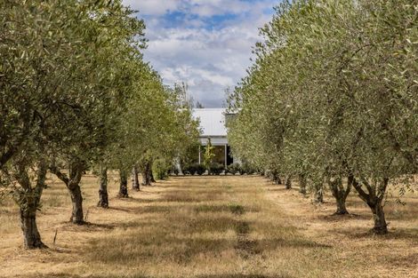 Photo of property in 179 Racecourse Road, Amberley, 7482