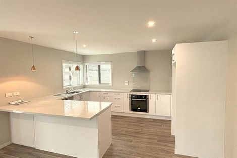 Photo of property in 123 Infinity Drive, Pegasus, 7612