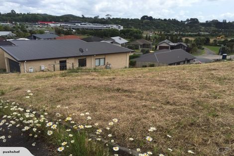 Photo of property in 19 Caldera Crescent, Pyes Pa, Tauranga, 3112