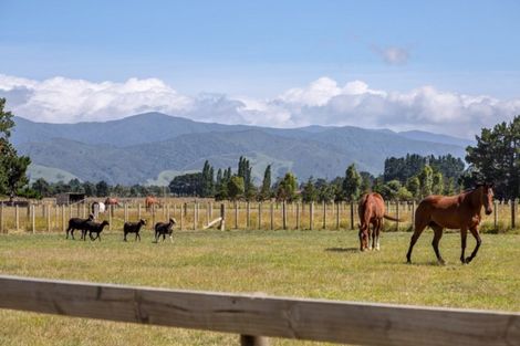 Photo of property in 90 Settlement Road, Morison Bush, Greytown, 5794