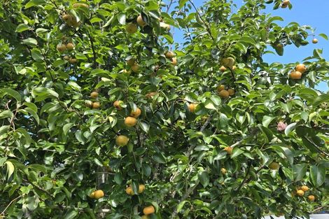 Photo of property in 314f Waipapa Road, Waipapa, 0230