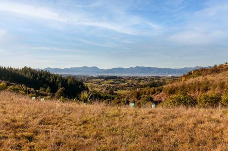 Photo of property in 3 Mahoe Close, Bronte, 7173