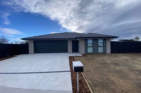 Photo of property in 6 Cleaver Street, Woodend, 7610