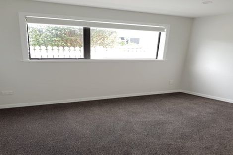 Photo of property in 118 The Ridgeway, Mornington, Wellington, 6021