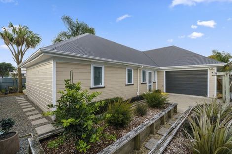 Photo of property in 105 Ferguson Street, West End, Palmerston North, 4412