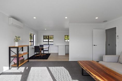 Photo of property in 45a Haultain Street, Fairfield, Hamilton, 3214