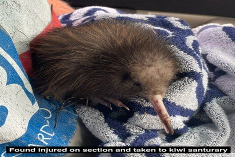 Photo of property in 125c Sailors Grave Road, Pumpkin Hill, Whitianga, 3591