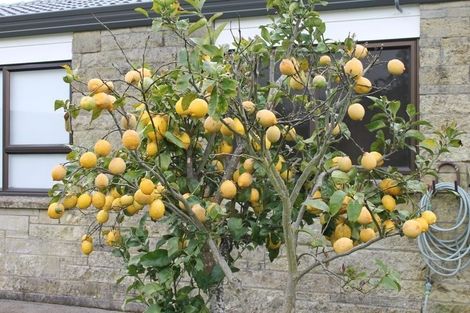 Photo of property in 4 Coolen Place, Tuakau, 2121