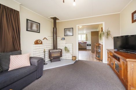 Photo of property in 95 Winchester Street, Ashhurst, 4810