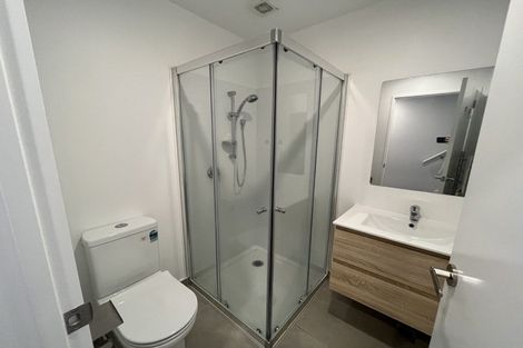 Photo of property in 52 Ivy Nola Way, Henderson, Auckland, 0612