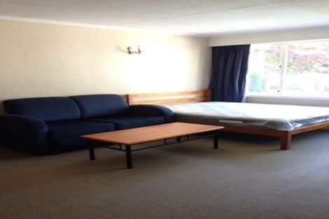 Photo of property in 52c Royal Terrace, Dunedin Central, Dunedin, 9016