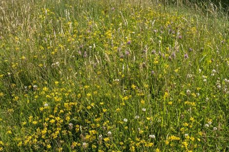 Photo of property in 1182 Opaki Kaiparoro Road, Mauriceville, Masterton, 5882