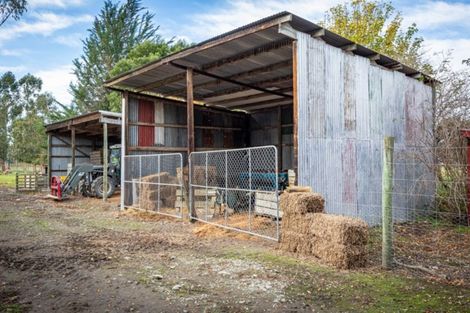 Photo of property in 46 Templer Street, Geraldine, 7992