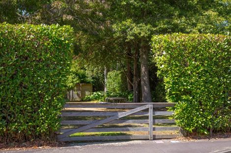 Photo of property in 3 Mole Street, Greytown, 5712