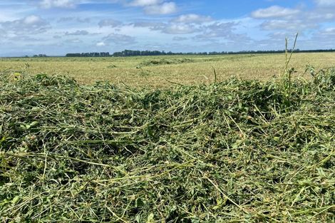 Photo of property in 784 Wrights Road, Oxford, 7495