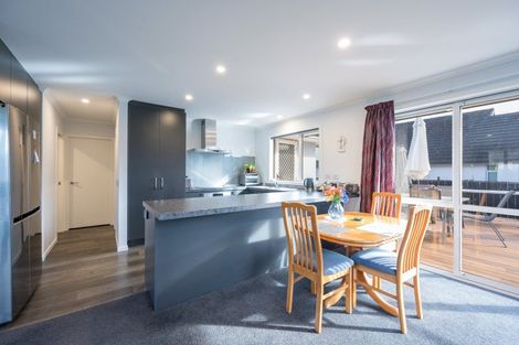 Photo of property in 17 Campari Drive, Richmond, 7020