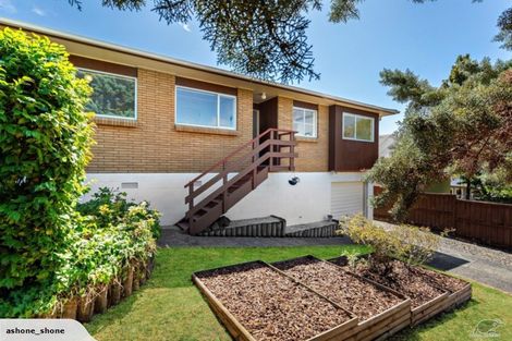 Photo of property in 1/2 Eastwood Rise, Browns Bay, Auckland, 0630