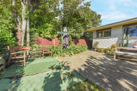 Photo of property in 4/87 Cambria Street, The Wood, Nelson, 7010