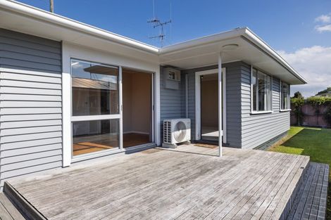 Photo of property in 239b Maungatapu Road, Maungatapu, Tauranga, 3112
