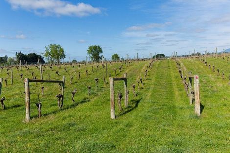 Photo of property in 35 Brighton Street, Island Bay, Wellington, 6023