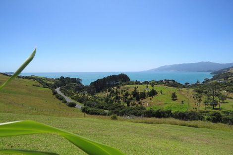 Photo of property in 1594 Colville Road, Amodeo Bay, Coromandel, 3584