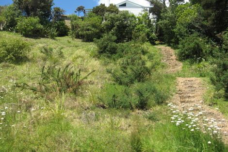Photo of property in 1 Bush Point Road, Cable Bay, 0420