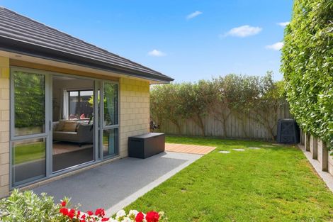 Photo of property in 8 Otupoa Way, Paraparaumu, 5032