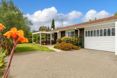 Photo of property in 3b Benjamin Place, Matua, Tauranga, 3110