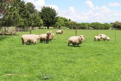 Photo of property in 34 Short Road, Pahiatua, 4982