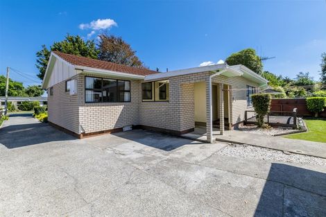 Photo of property in 63 Macarthur Street, Levin, 5510