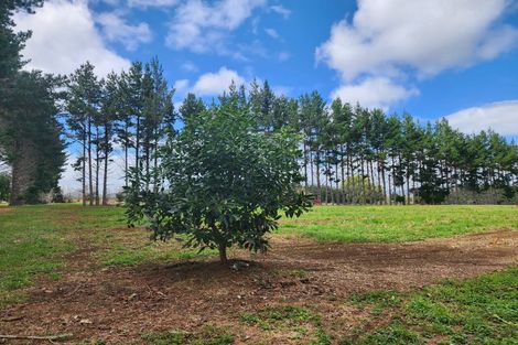 Photo of property in 146 Browns Road, Kaikohe, 0474