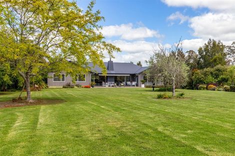 Photo of property in 47 Gumdiggers Lane, Mangawhai Heads, Kaiwaka, 0573