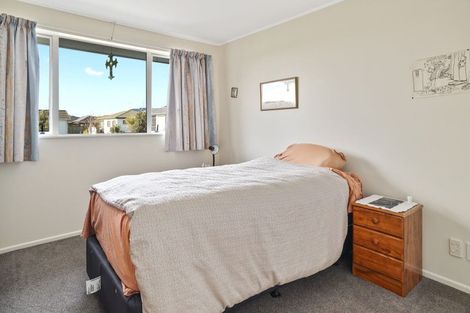 Photo of property in 44 The Drive, Richmond, 7020