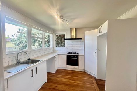 Photo of property in 101 Hall Avenue, Favona, Auckland, 2024