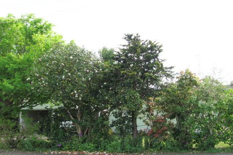 Photo of property in 31 Oak Street, Mangapapa, Gisborne, 4010