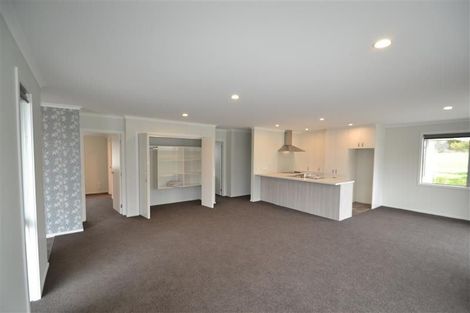 Photo of property in 11 Carmello Grove, Richmond, 7020