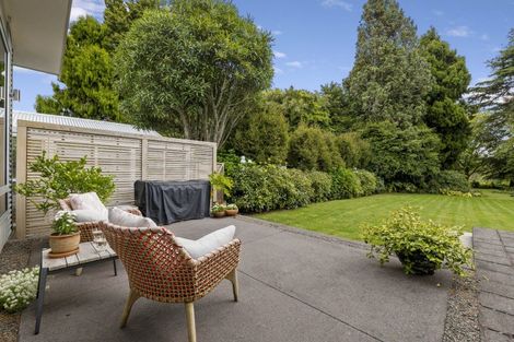 Photo of property in 10 Olivia Street, Stratford, 4332