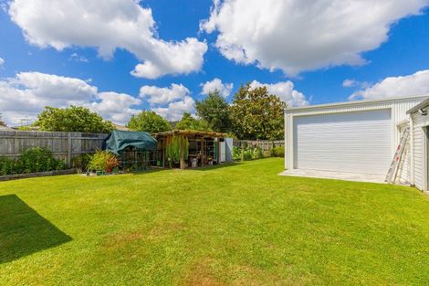 Photo of property in 121 Miro Street, Manunui, Taumarunui, 3924