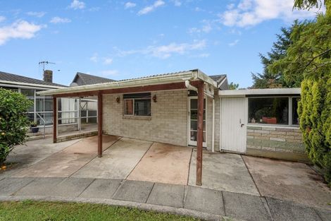 Photo of property in 37 Strathmore Avenue, Levin, 5510
