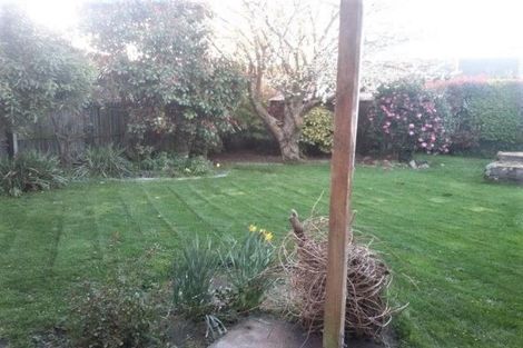 Photo of property in 98 Blackett Street, Rangiora, 7400