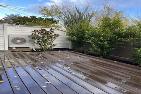 Photo of property in 17b Beckenham Avenue, Royal Oak, Auckland, 1023