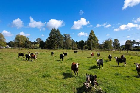 Photo of property in 31 Ludbrook Road, Pakaraka, Kaikohe, 0472