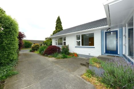 Photo of property in 29 Carruthers Street, Ilam, Christchurch, 8041